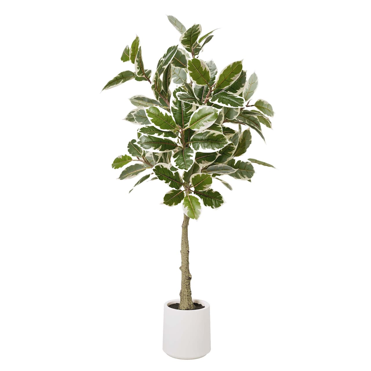 American Art Decor 5ft. Realistic Artificial Variegated Rubber Tree in White Pot